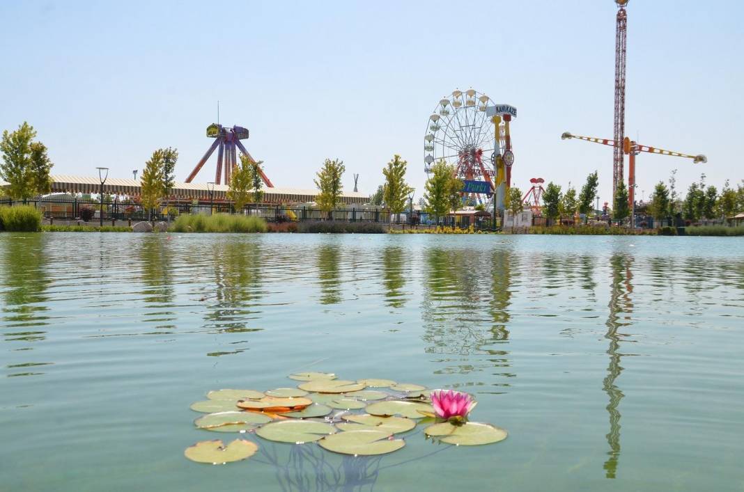 Sonbahar en çok Konya’ya yakışıyor! Konya’da Eylül ayında gezilecek rotalar 12